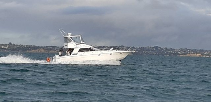 Auckland Charter Boat Business for Sale